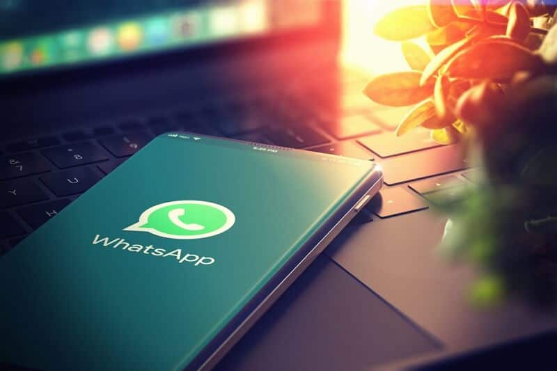 marketing no whatsapp