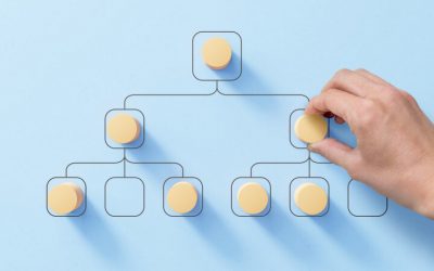 Organograma: como funciona a estrutura de uma agência?