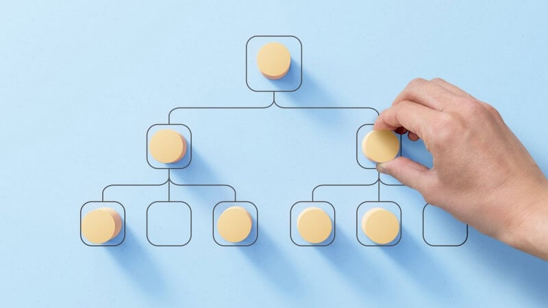 Organograma: como funciona a estrutura de uma agência?